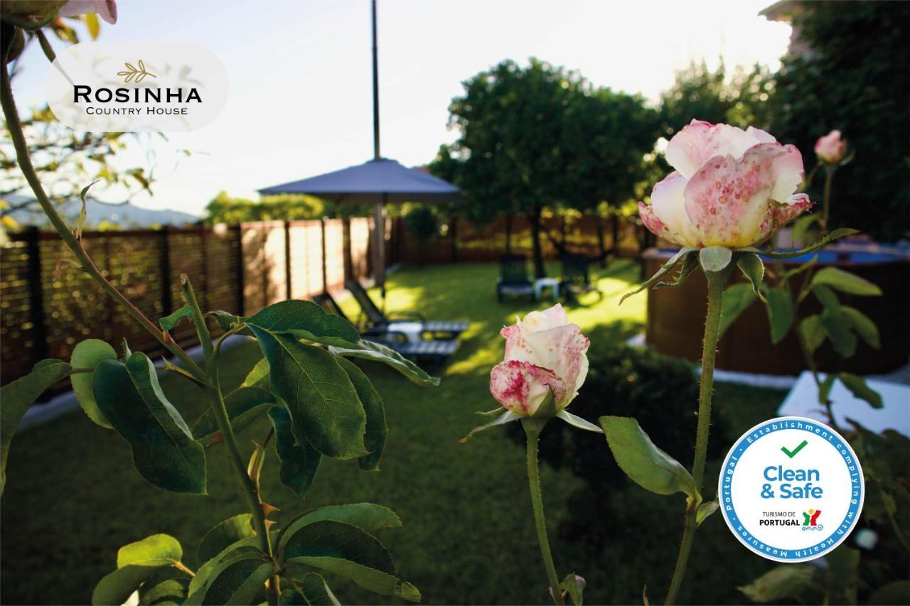 Rosinha Country House Vale de Cambra Zewnętrze zdjęcie