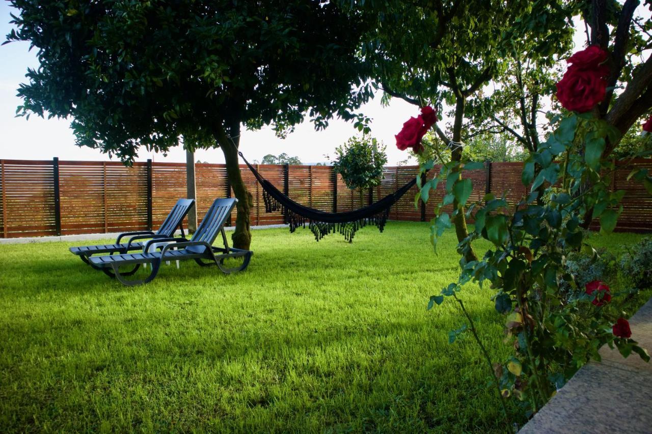 Rosinha Country House Vale de Cambra Zewnętrze zdjęcie