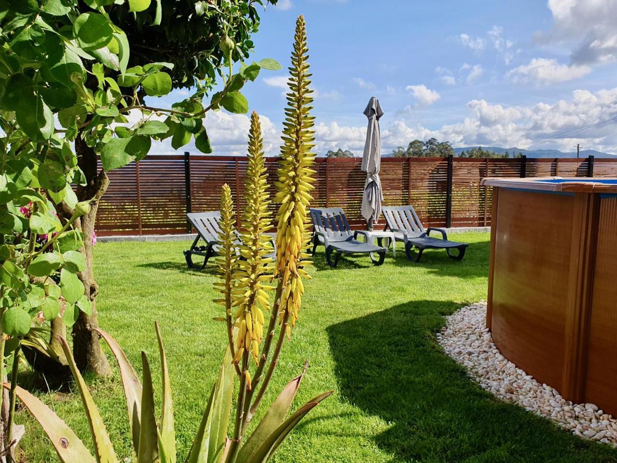 Rosinha Country House Vale de Cambra Zewnętrze zdjęcie