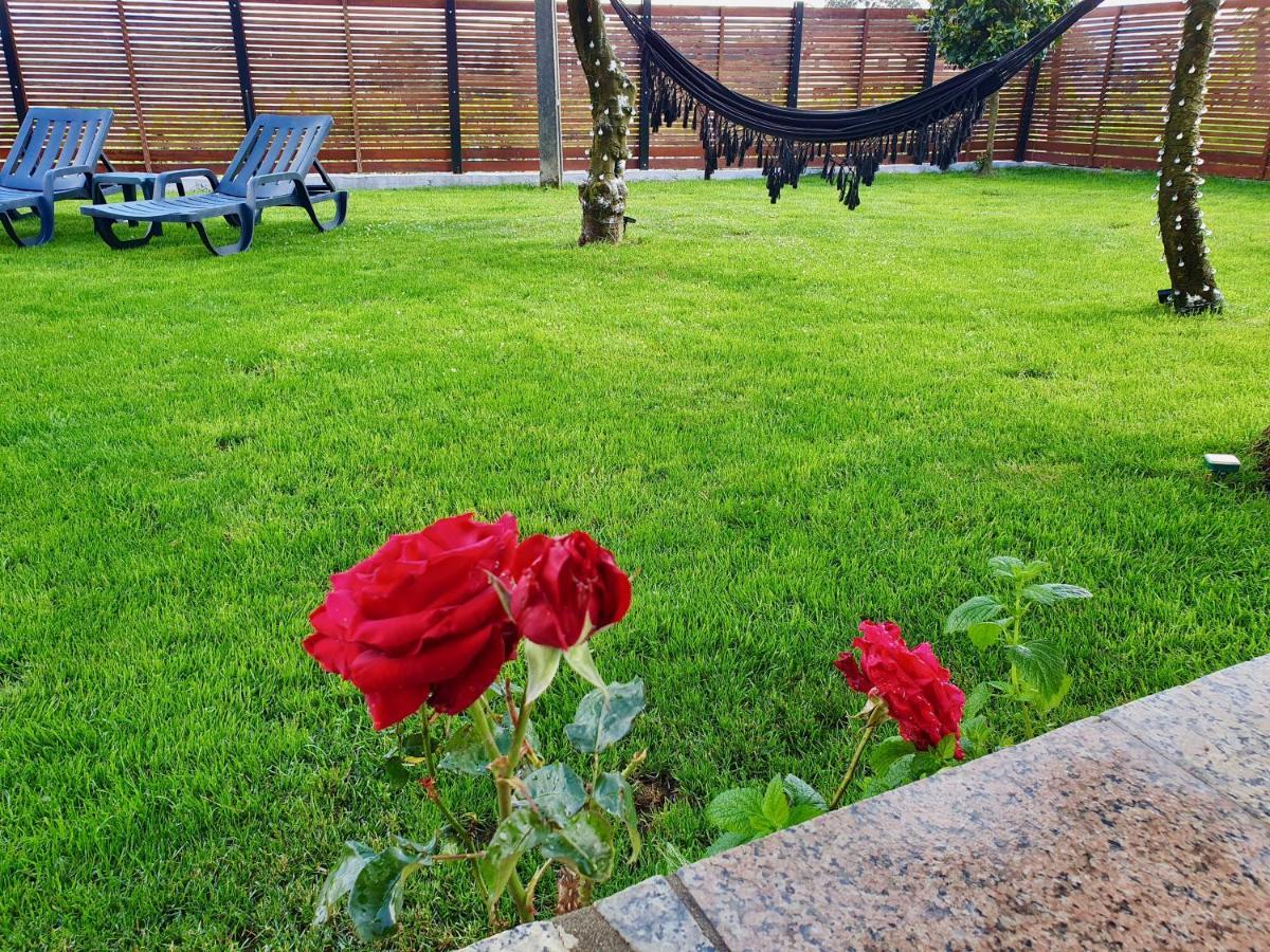 Rosinha Country House Vale de Cambra Zewnętrze zdjęcie