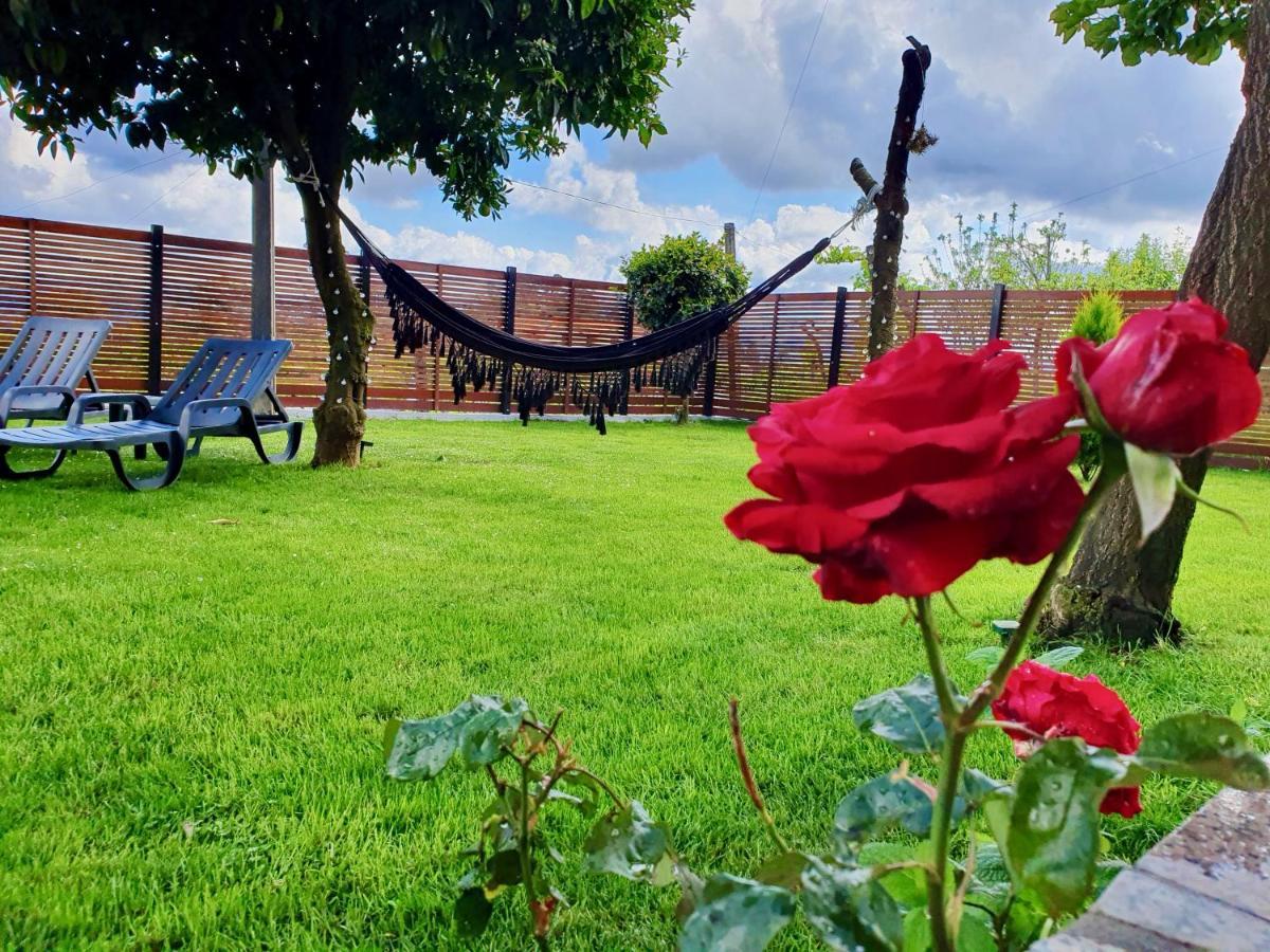 Rosinha Country House Vale de Cambra Zewnętrze zdjęcie